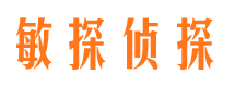 凤庆市调查公司